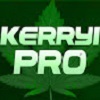 Kerry1_PRO